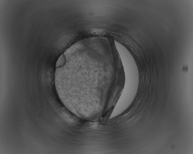 X0000089380424200707131702