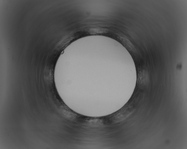 X0000089380426200707131702