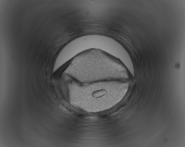 X0000089380428200707131702