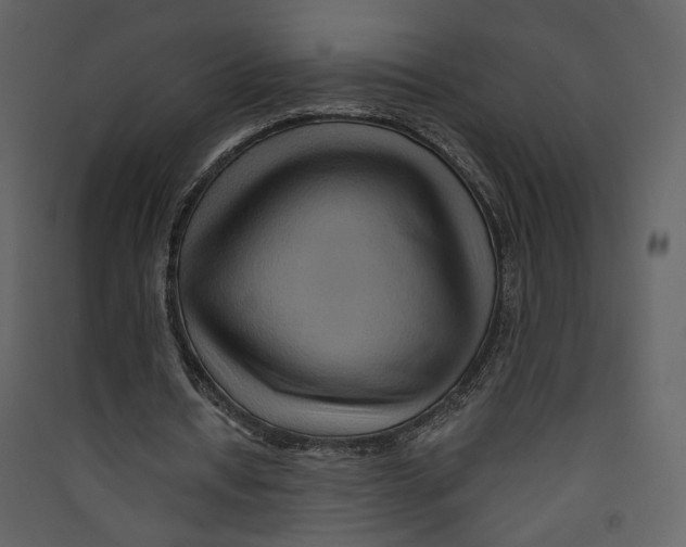 X0000089380434200707131701