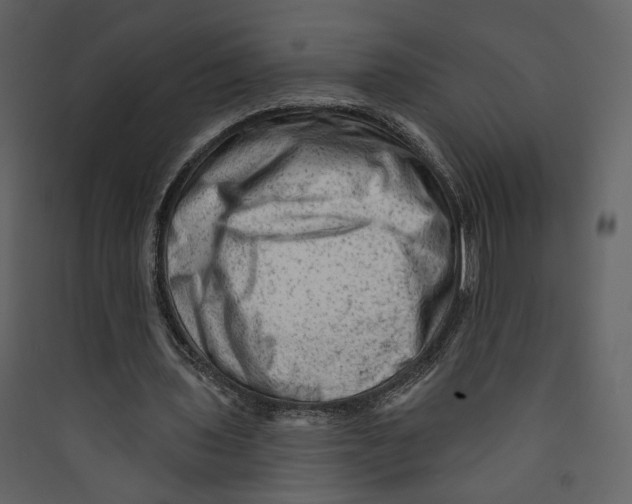 X0000089380435200707131701