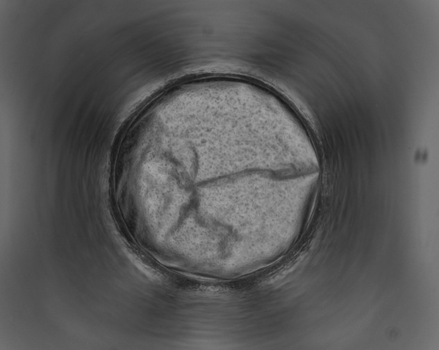 X0000089380437200707131701