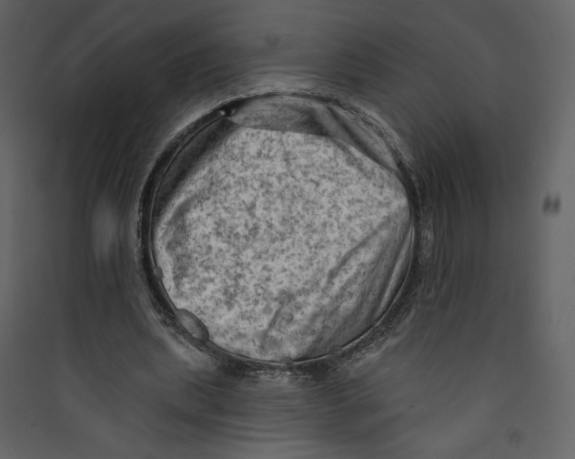 X0000089380439200707131701