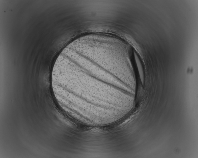 X0000089380441200707131701