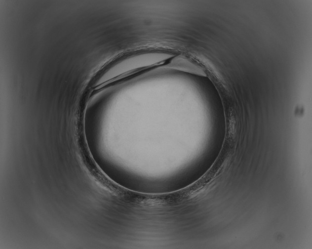 X0000089380444200707131701