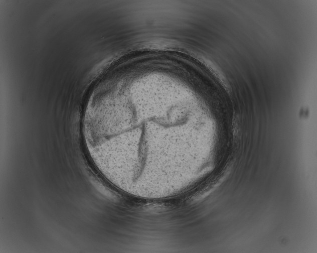 X0000089380445200707131701