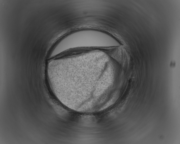 X0000089380446200707131701