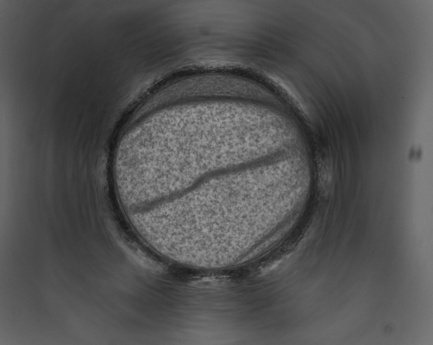 X0000089380447200707131701