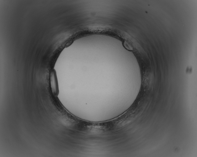 X0000089380448200707131701