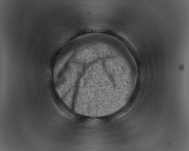 X0000089380459200707131702