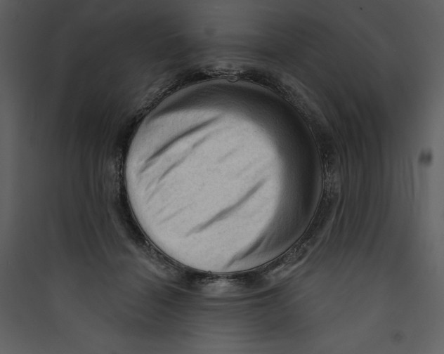 X0000089380460200707131702