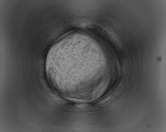 X0000089380461200707131702