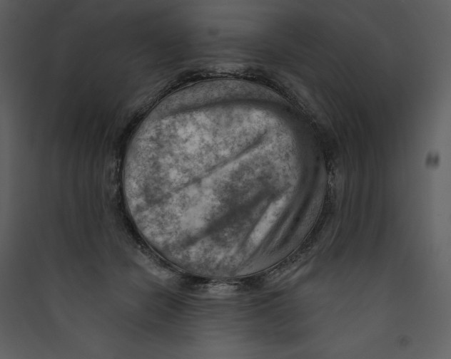 X0000089380462200707131702