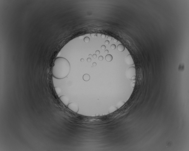 X0000089380463200707131702