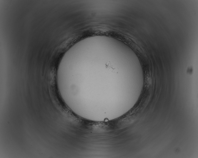 X0000089380468200707131702