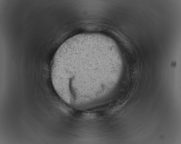 X0000089380469200707131702