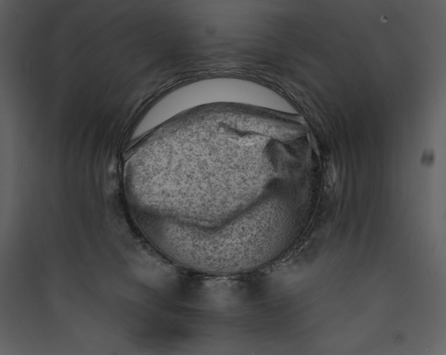 X0000089380470200707131702