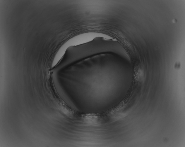 X0000089380471200707131702