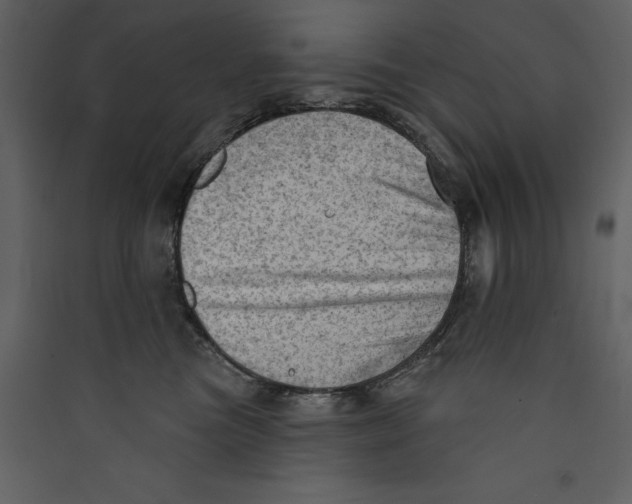 X0000089380473200707131702