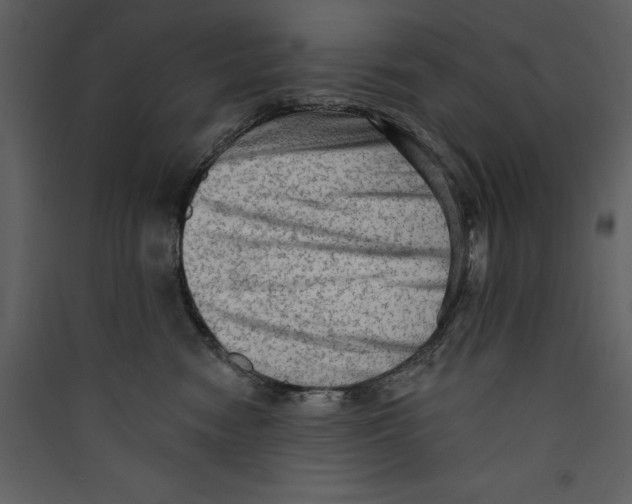 X0000089380474200707131702