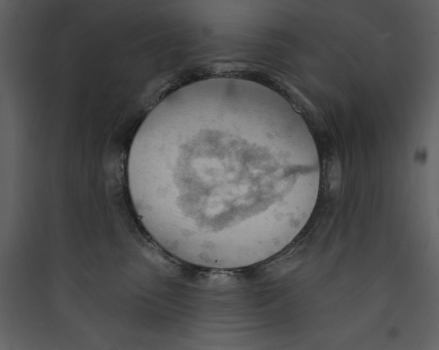 X0000089380475200707131702