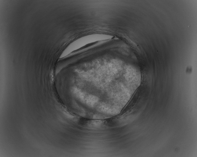 X0000089380479200707131702