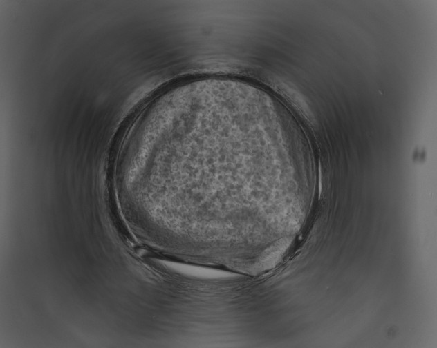 X0000089380483200707131701