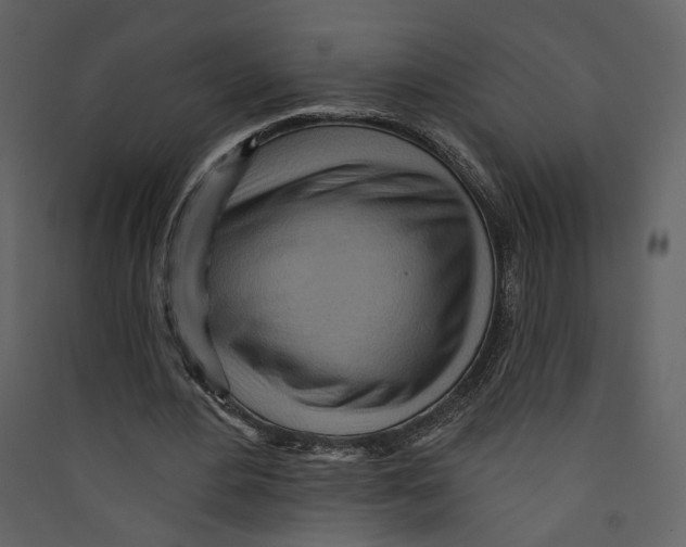 X0000089380484200707131701