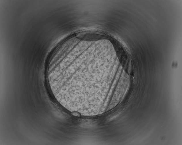 X0000089380486200707131701