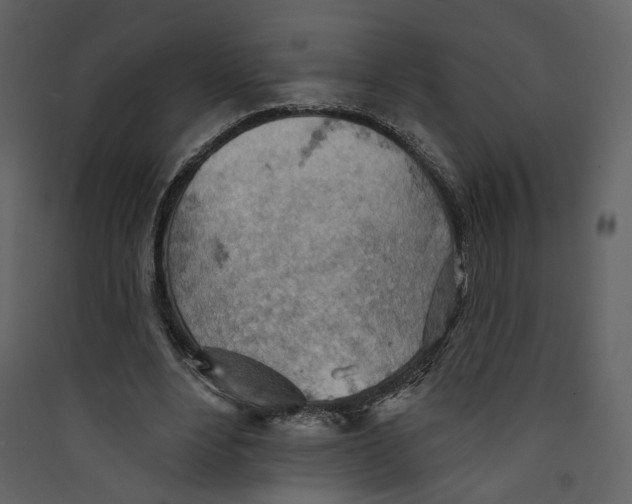 X0000089380488200707131701