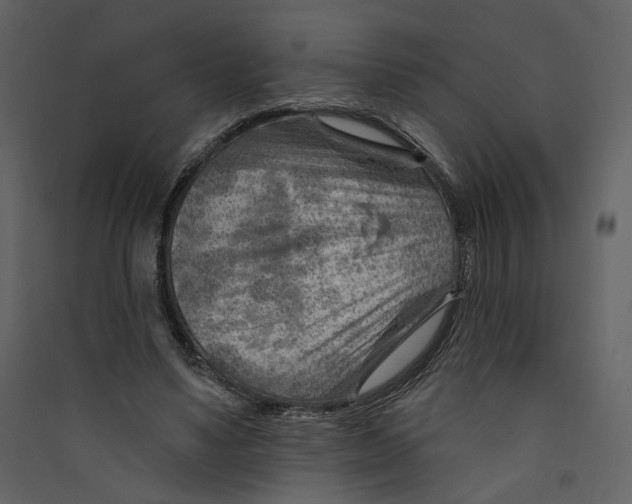 X0000089380491200707131701