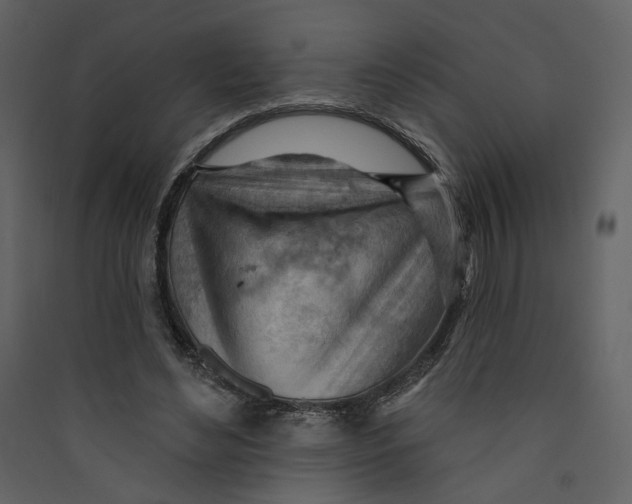 X0000089380492200707131701