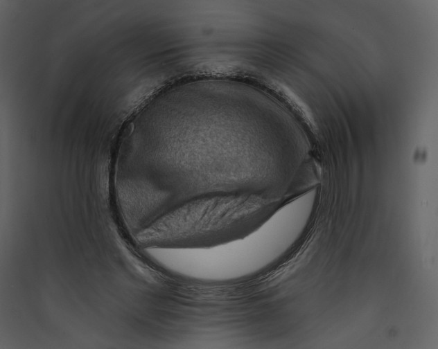 X0000089380493200707131701