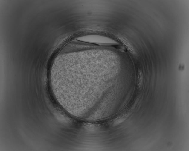 X0000089380494200707131701