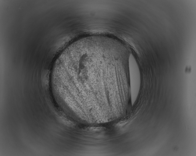 X0000089380495200707131701