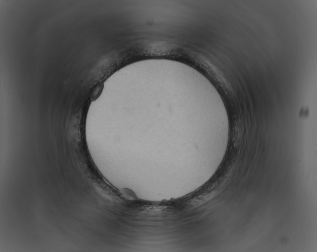 X0000089380497200707131701