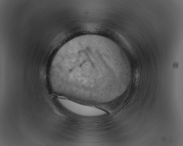 X0000089380500200707131701