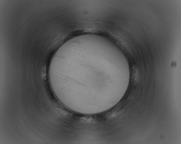 X0000089380502200707131701