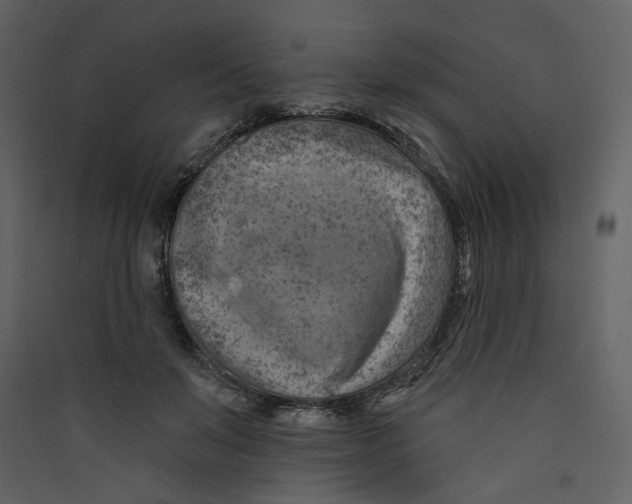 X0000089380503200707131701