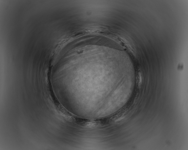 X0000089380504200707131701