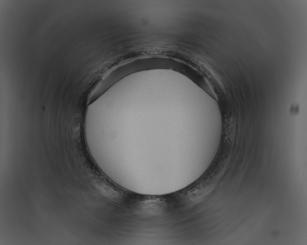 X0000089380505200707131701