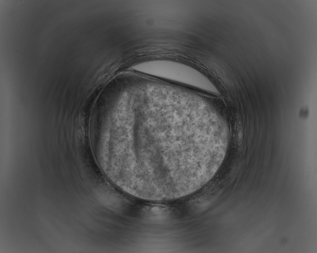 X0000089380506200707131701