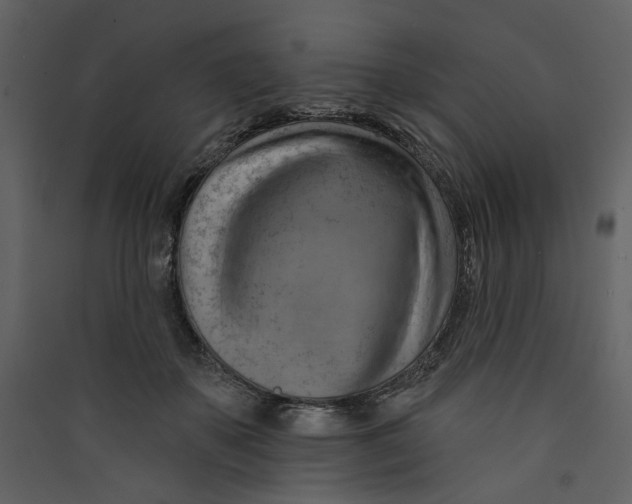 X0000089380507200707131701