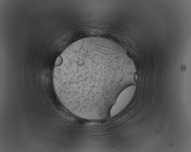 X0000089380511200707131701