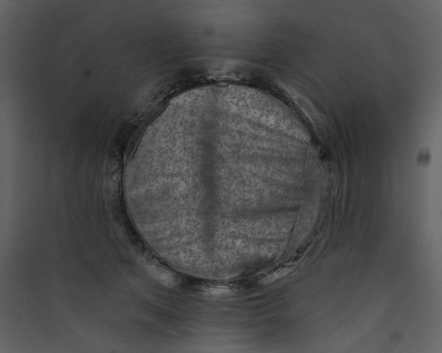 X0000089380513200707131701