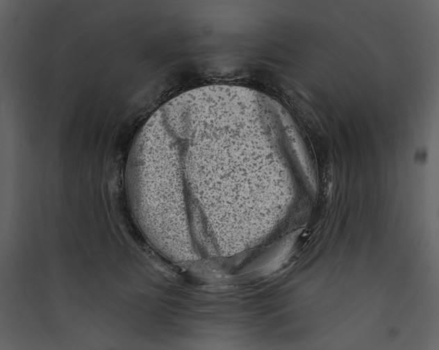 X0000089380515200707131701