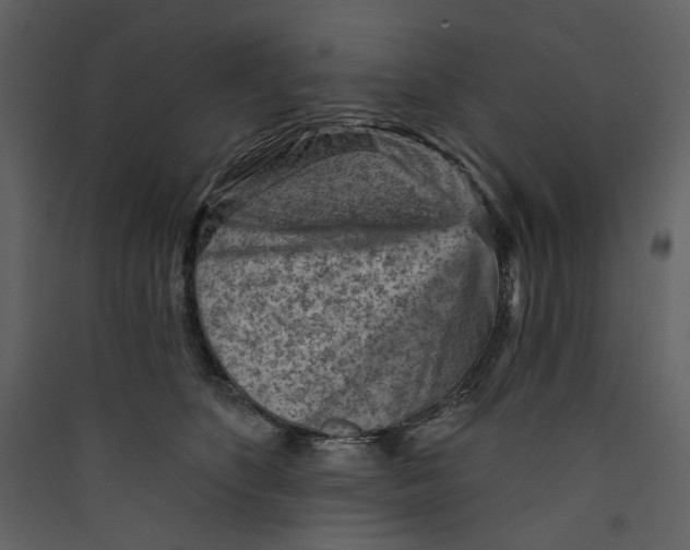 X0000089380516200707131701