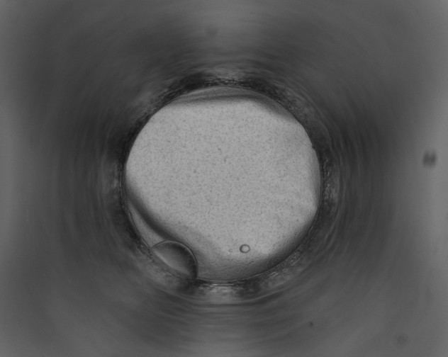 X0000089380518200707131701