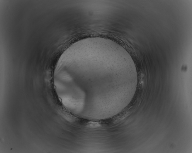 X0000089380519200707131701