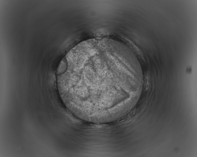 X0000089380523200707131701